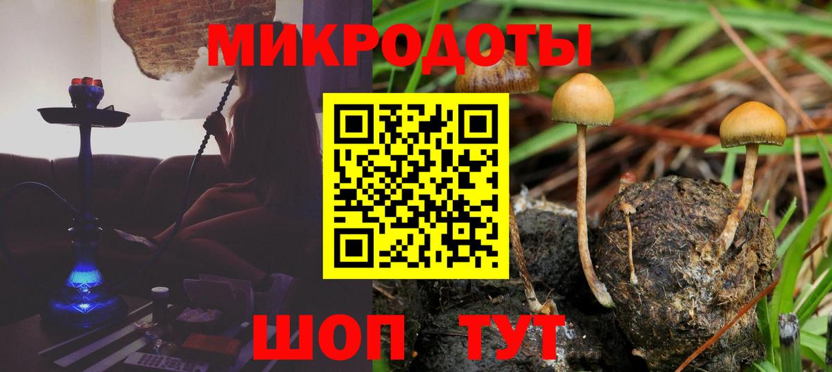 Псилоцибиновые грибы мухоморы Ливны